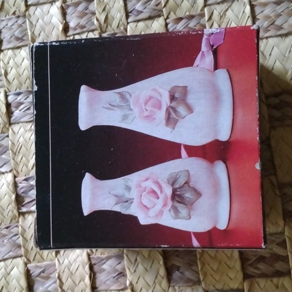 Porcelain salt and pepper shakers